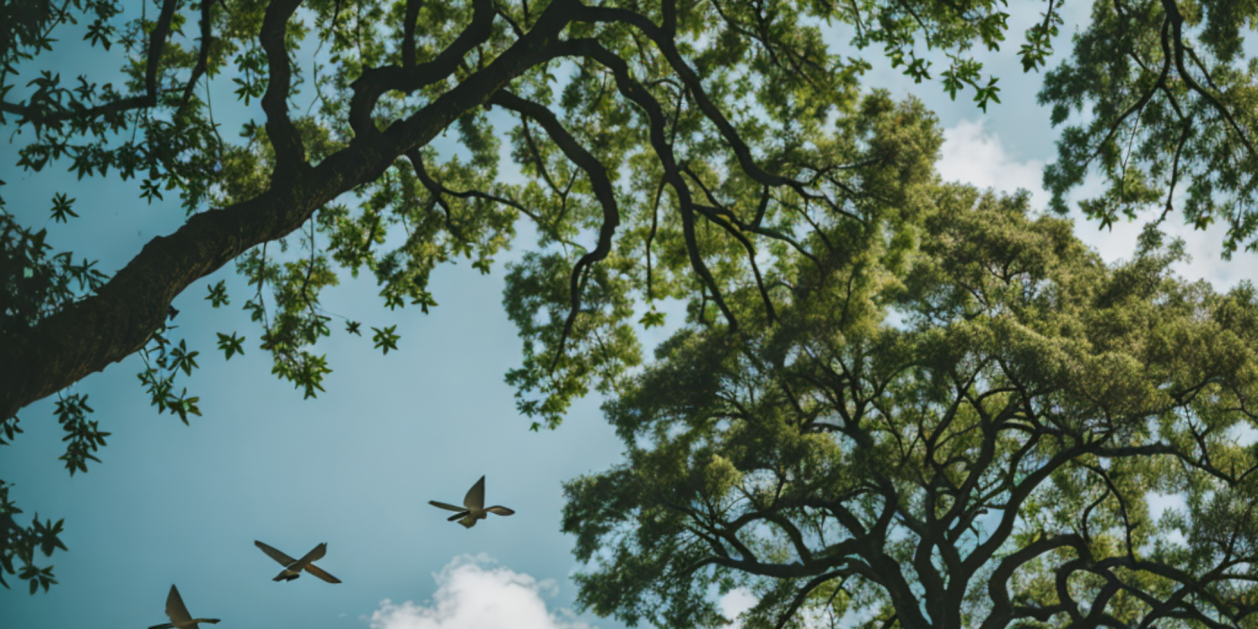 Enhance Your Productivity with Weather Sounds: A Comprehensive Guide