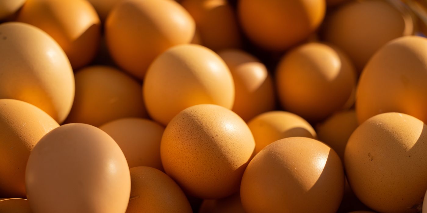 How Much Protein is Needed Per Day?