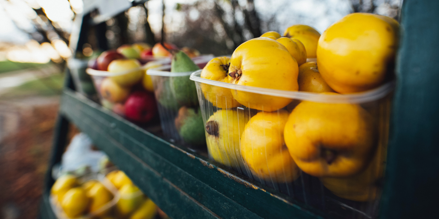 Sustainable Food: A Call to Action for Consumers and Businesses