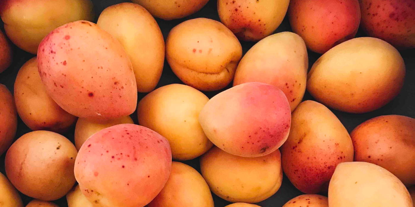 Apricot Kernel Oil: The Unveiled Treasure for Soothing Massage Therapy