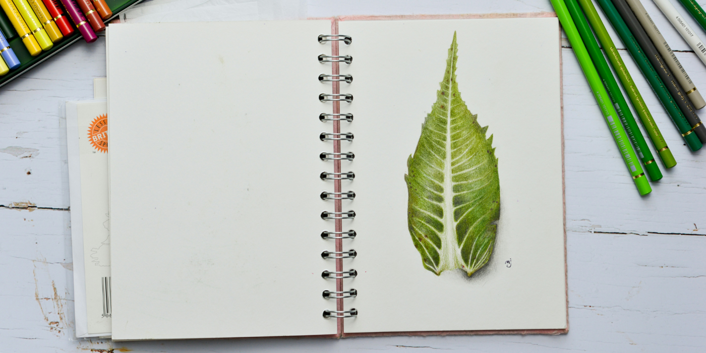 Nurturing Serenity: Mastering the Art of Nature Drawing for Relaxation and Mindfulness
