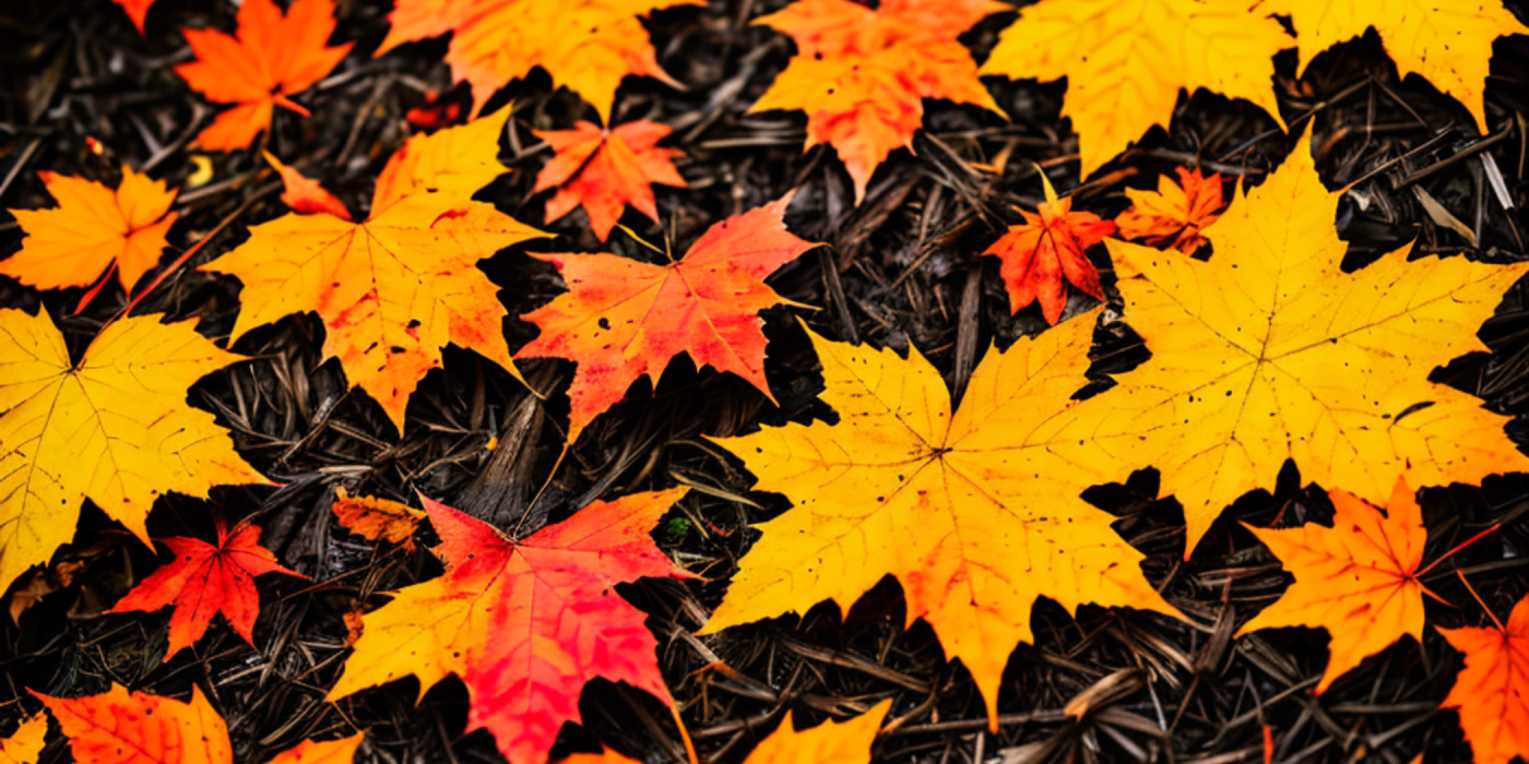 Embracing Autumn: Your Ultimate Guide to Seasonal Preparation and Trends