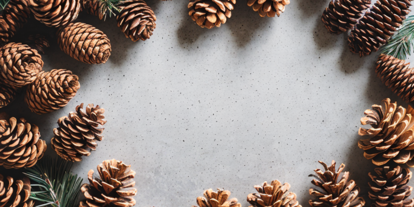 The Fascination of Pinecones in Autumn: A British Perspective