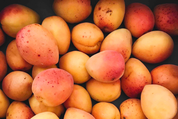 Apricot Kernel Oil: The Unveiled Treasure for Soothing Massage Therapy