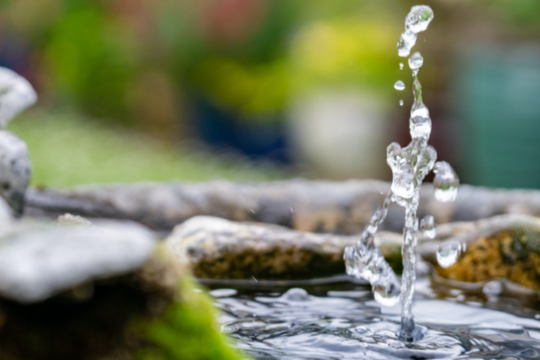 How to Create a Relaxing Water Feature in Your Home