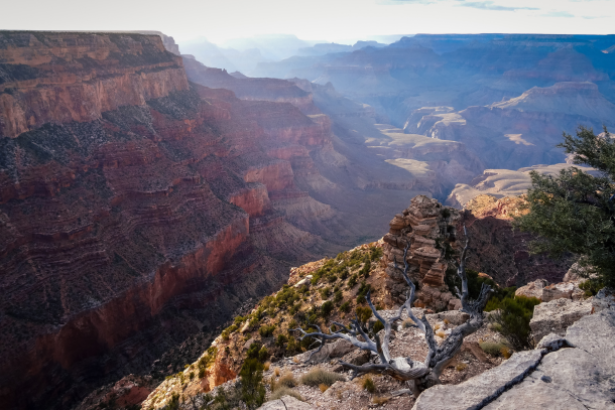 Eternal Allure: Reflecting on the Grand Canyon’s Significance