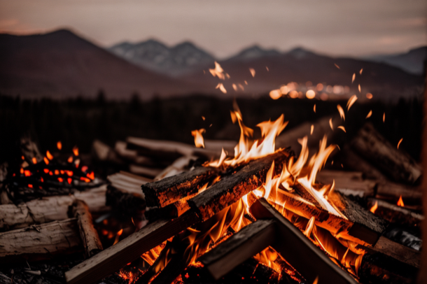 Everything You Need to Know About Burning Wood in a Fire Pit