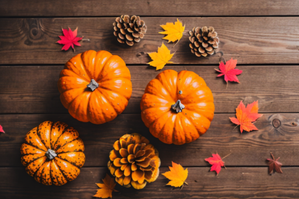 Unleash Your Creativity This Autumn: DIY Crafts and Decor Ideas for a Festive Home