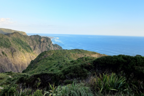 The Invigorating Allure of Nature Walks