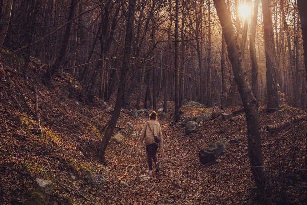 Nature Walks: A Guide to Taking a Walk Through Nature